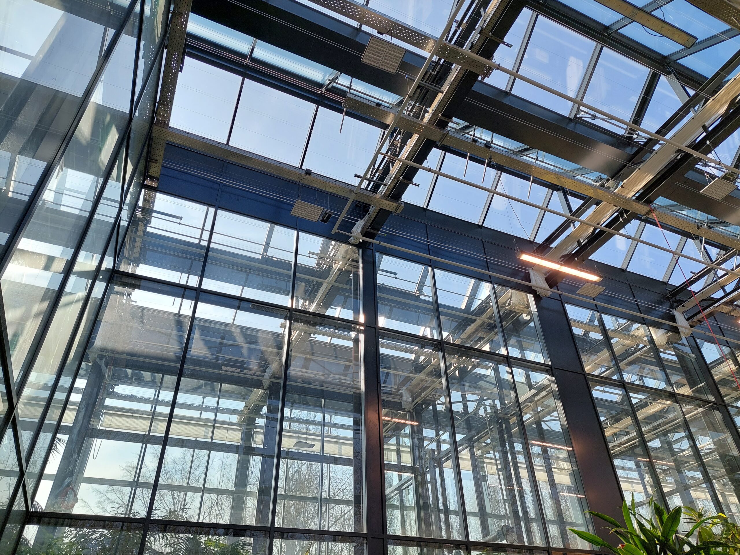 Ogród Botaniczny Palmiarnia w Zabrzu – trwają końcowe prace budowlane